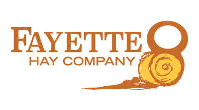 NEW TEST COMPANY logo